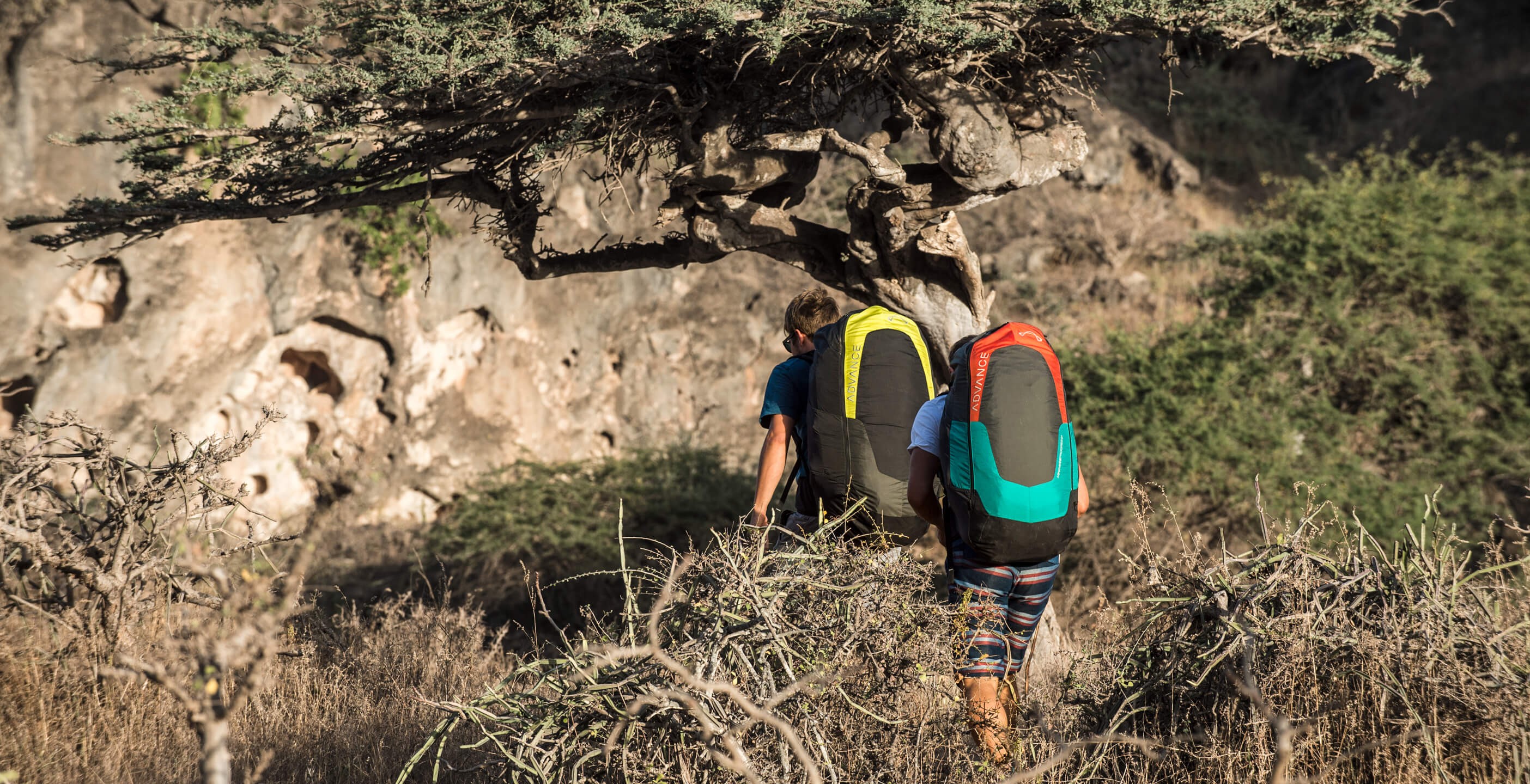 Advance Progress 3 #6