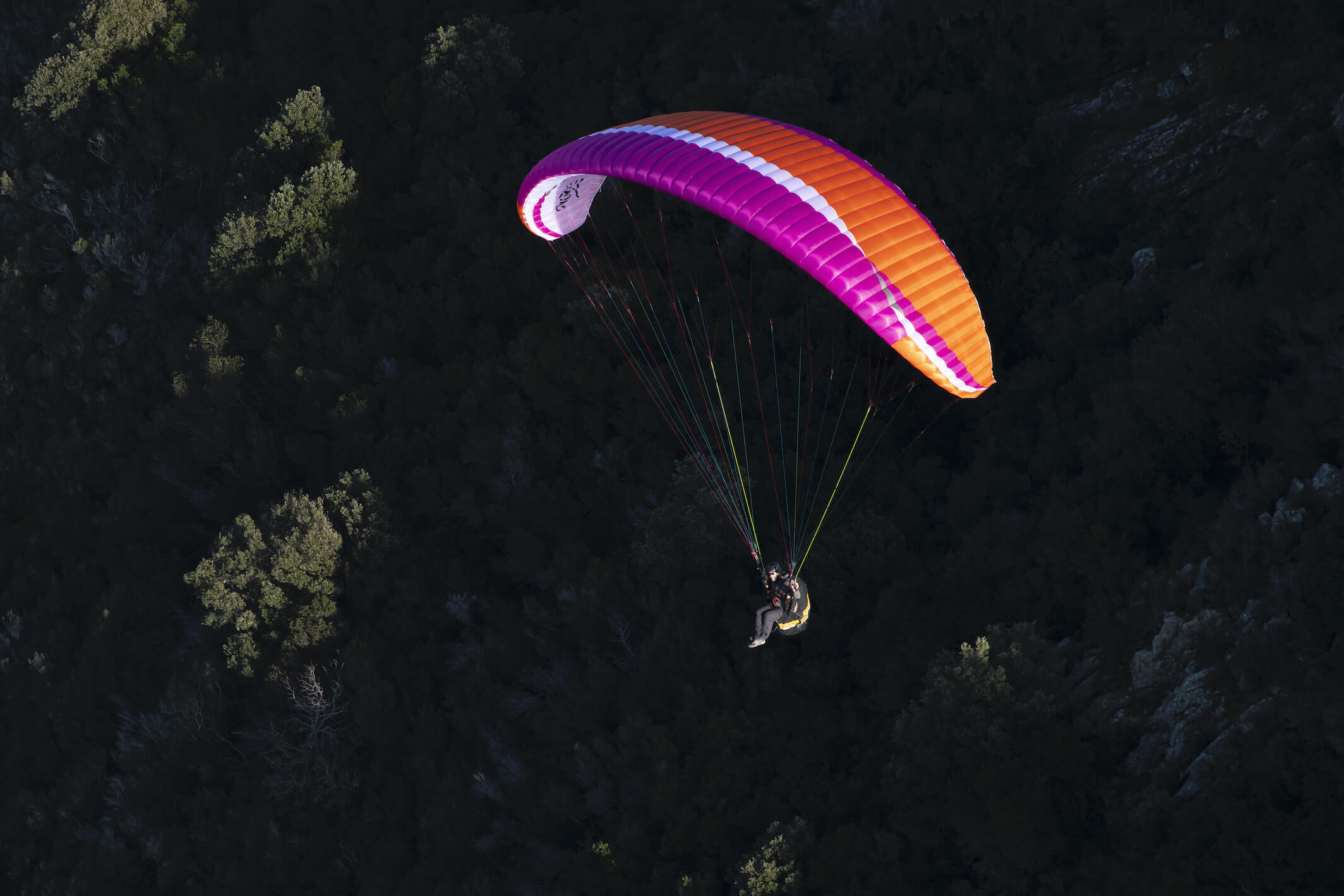 Air Design Vivo 2 #6