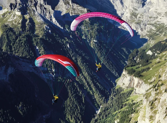 Niviuk Koyot 5 occasion 2025 - EN A #3