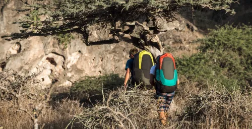 Advance Progress 3 #6