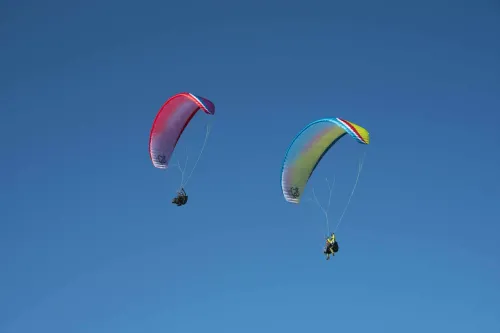 Paragliders