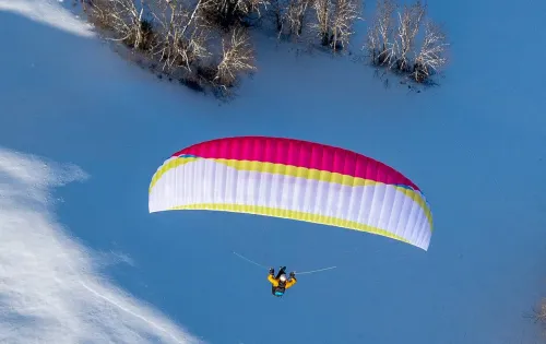 AirDesign Susi 4 #12