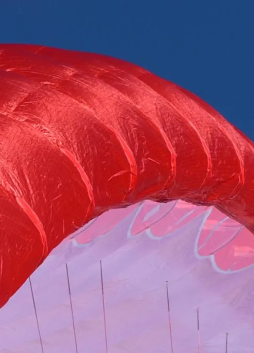 AirDesign Susi 4 #13