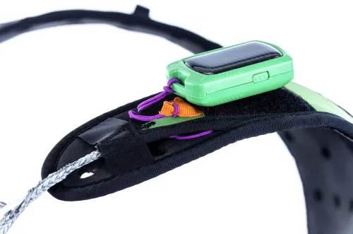 Kortel Design Kolibri Evo #16