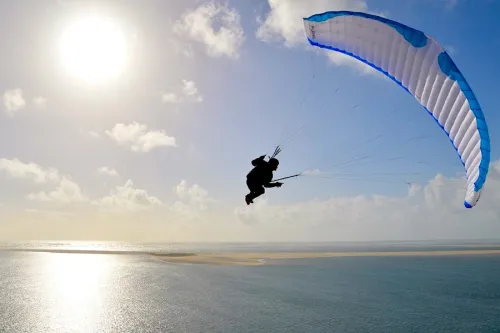 Level Wings Flame 2 #1