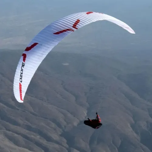 Paragliders