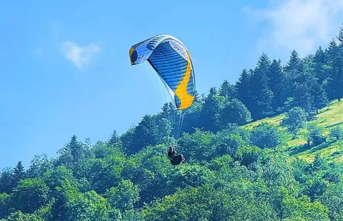 Paragliders