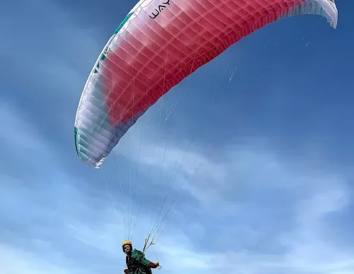 Way Gliders COSY 2 HF