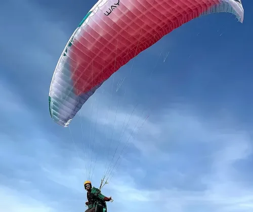 Way Gliders COSY 2 HF - DEMO - 10 flights max