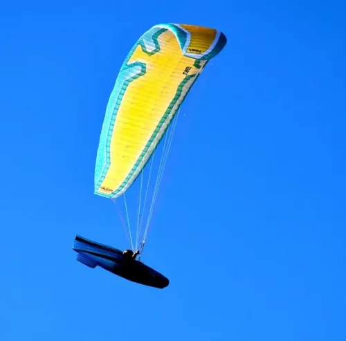 Level Wings | Falcon