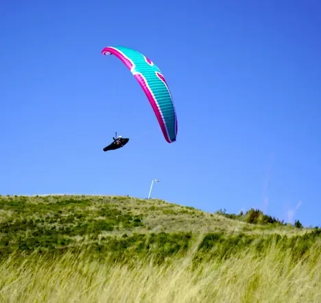 Level Wings | Falcon #2