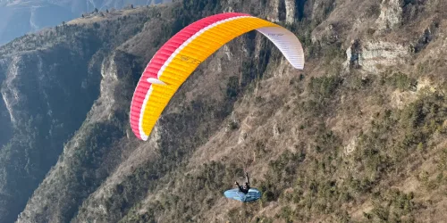 UP Torre #3