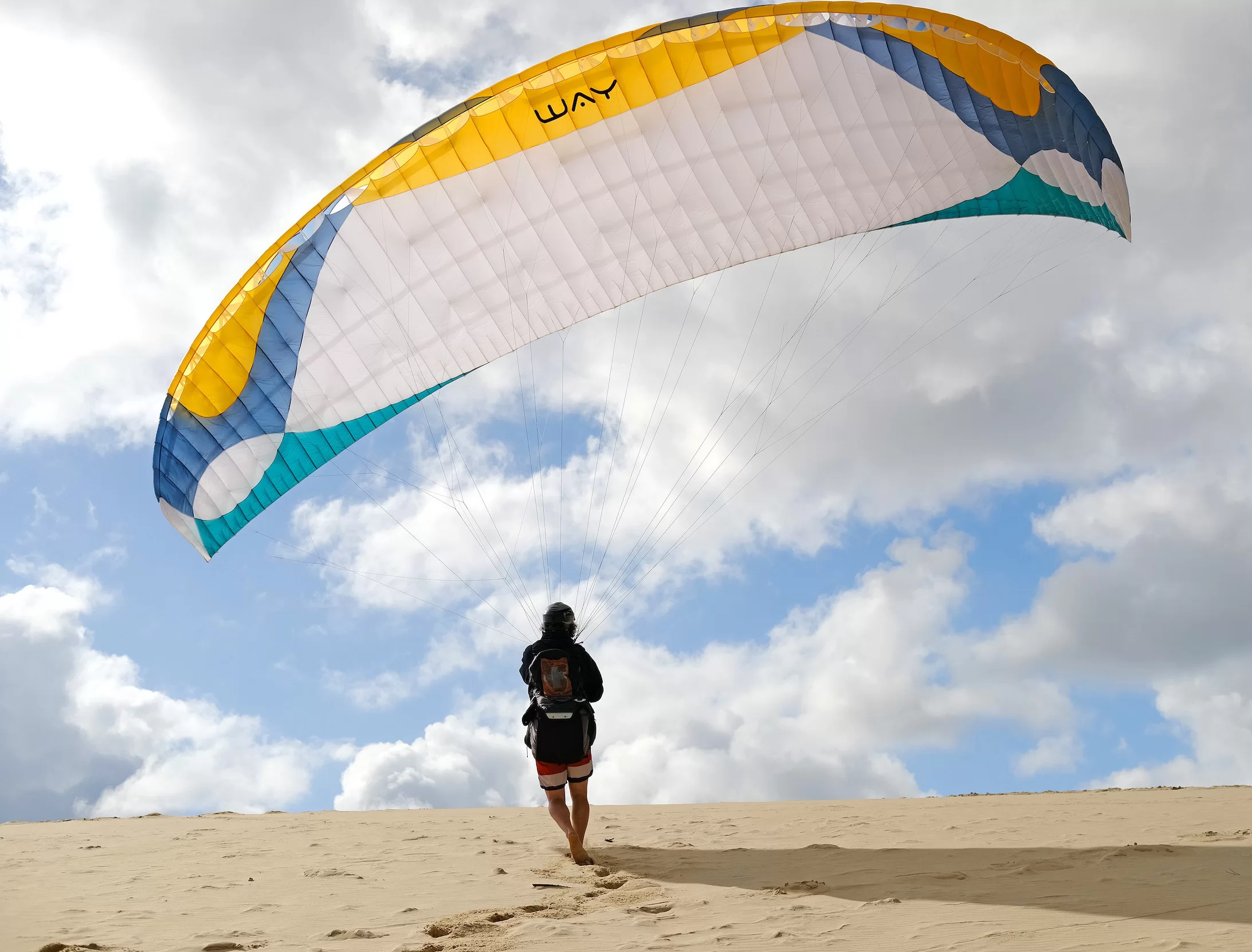 Way Gliders COSY 2 - Parapente EN B #8